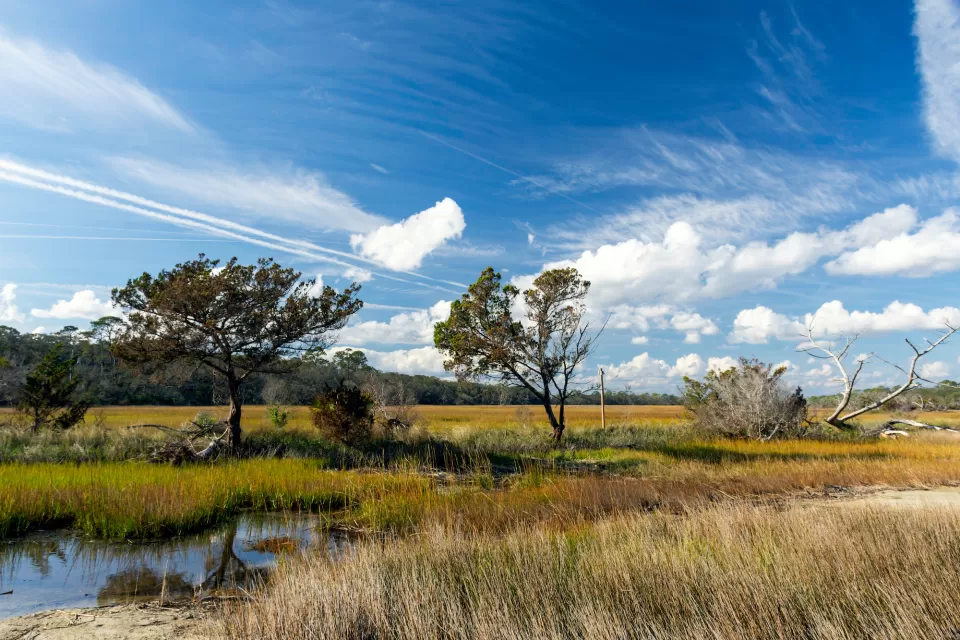 Clam Creek, located on coastal Georgia's Jekyll Island, is a popular place for birders, photographers and cyclists. Its salt marsh is a great place to watch wildlife.
